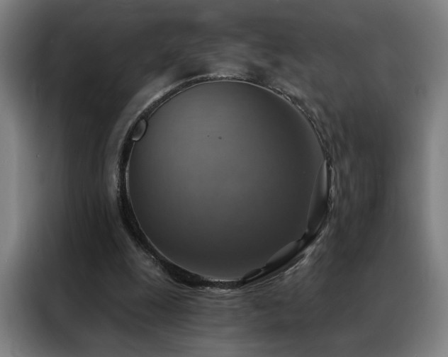 X0000088390247200705221120