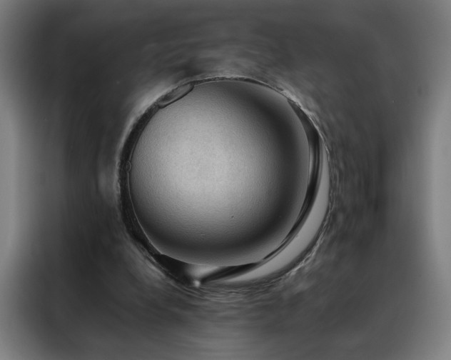 X0000088390248200705221120