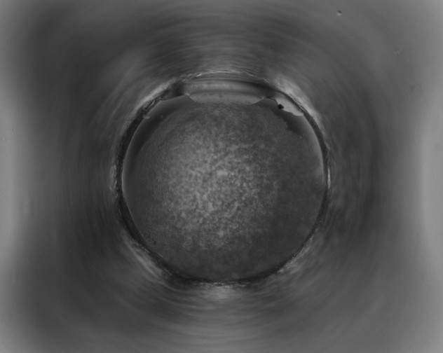 X0000088390249200705221120