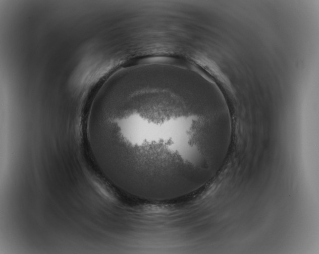 X0000088390250200705221120