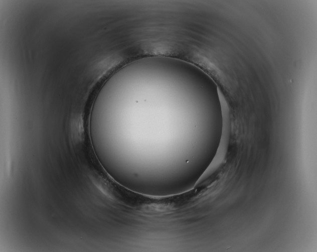 X0000088390251200705221120