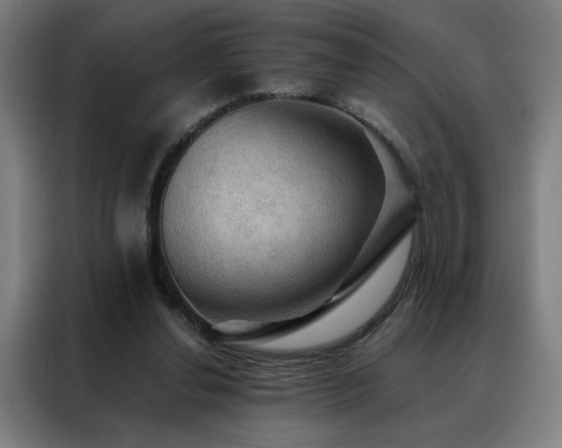 X0000088390252200705221120