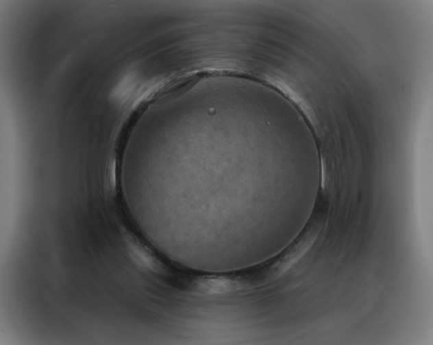 X0000088390253200705221120