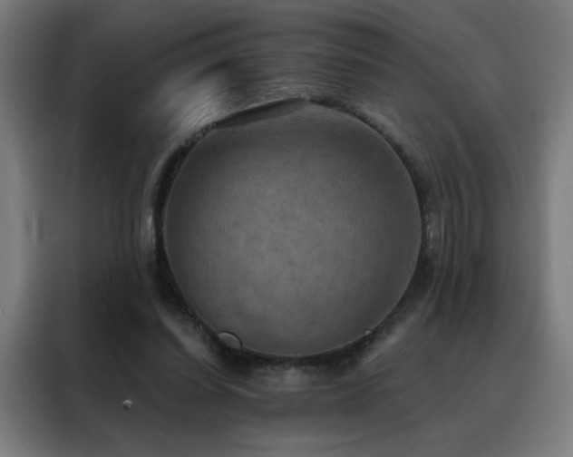 X0000088390254200705221120