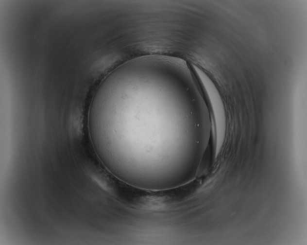 X0000088390255200705221120