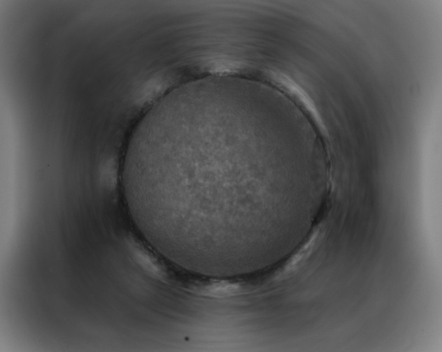 X0000088390257200705221120