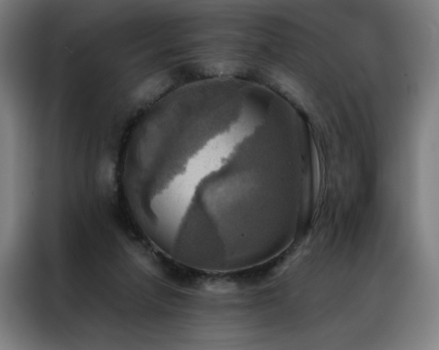 X0000088390258200705221120