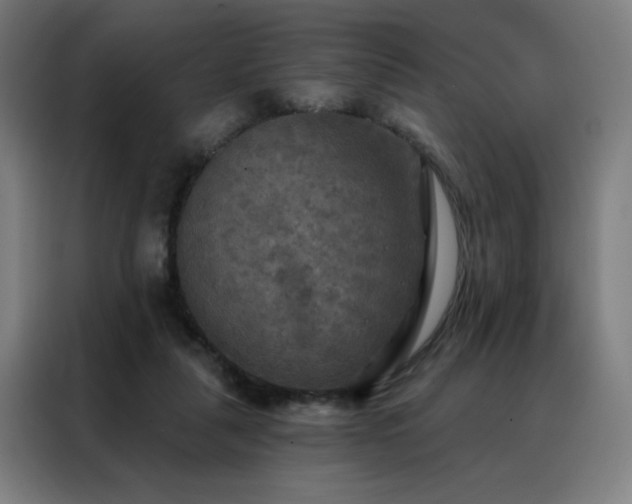 X0000088390259200705221120