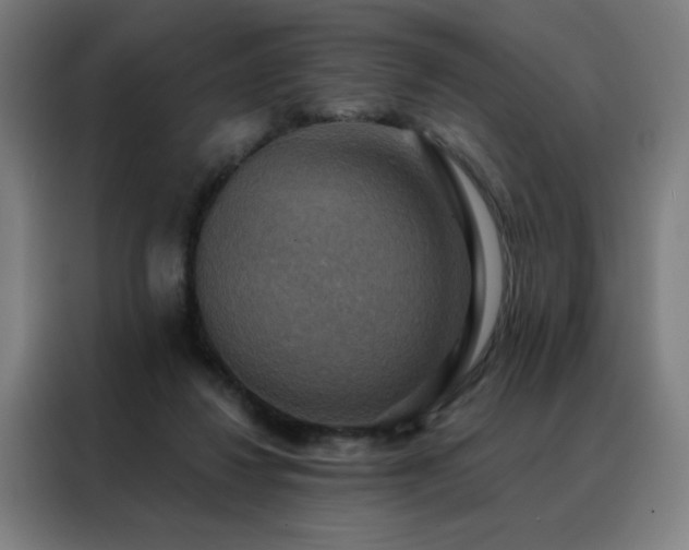 X0000088390260200705221120