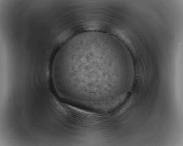 X0000088390261200705221120