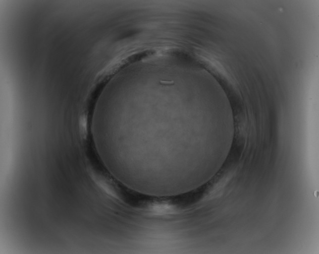 X0000088390262200705221120