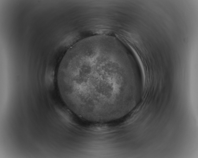 X0000088390263200705221120