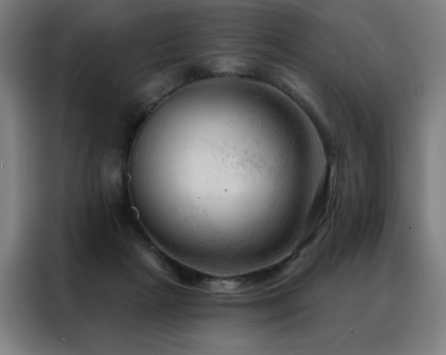 X0000088390265200705221120