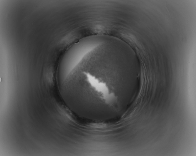 X0000088390266200705221120