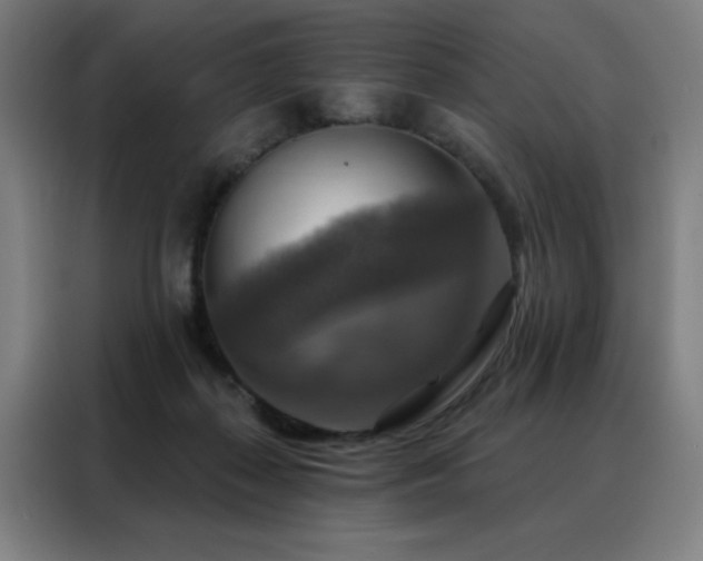 X0000088390267200705221120