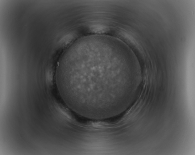 X0000088390268200705221120