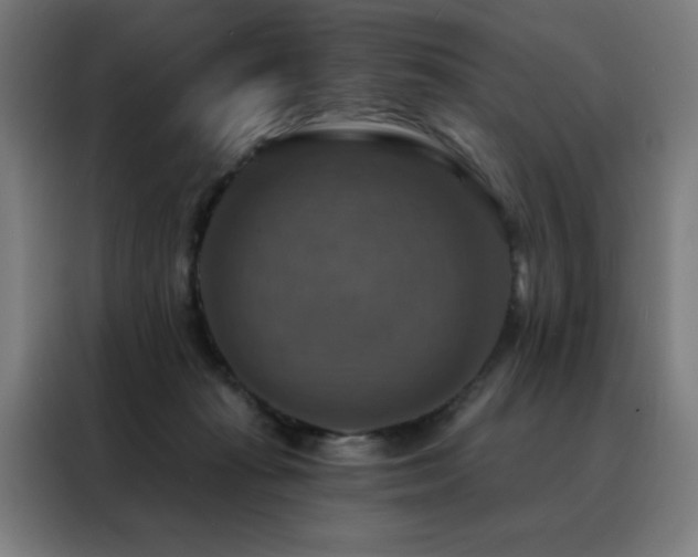 X0000088390269200705221120