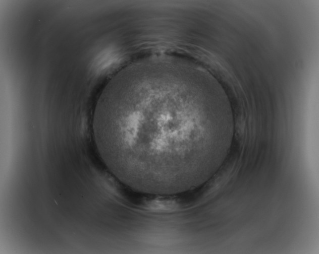 X0000088390270200705221120