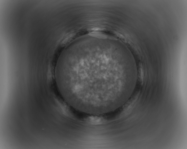 X0000088390272200705221120