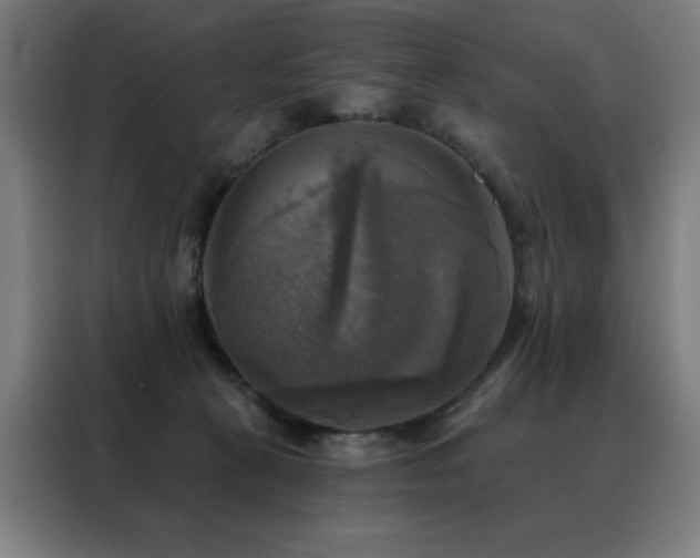 X0000088390273200705221120