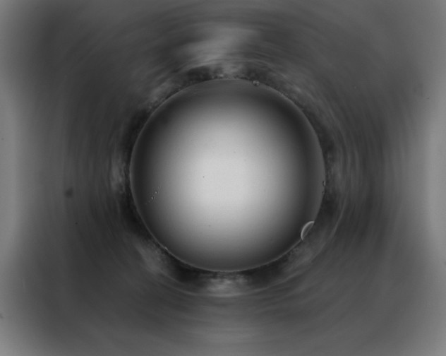 X0000088390274200705221120