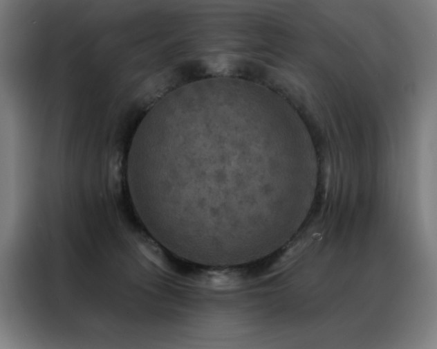 X0000088390275200705221120