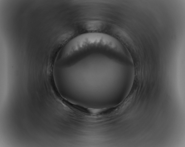 X0000088390277200705221120