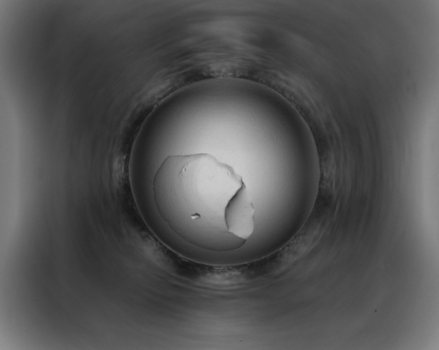 X0000088390278200705221120