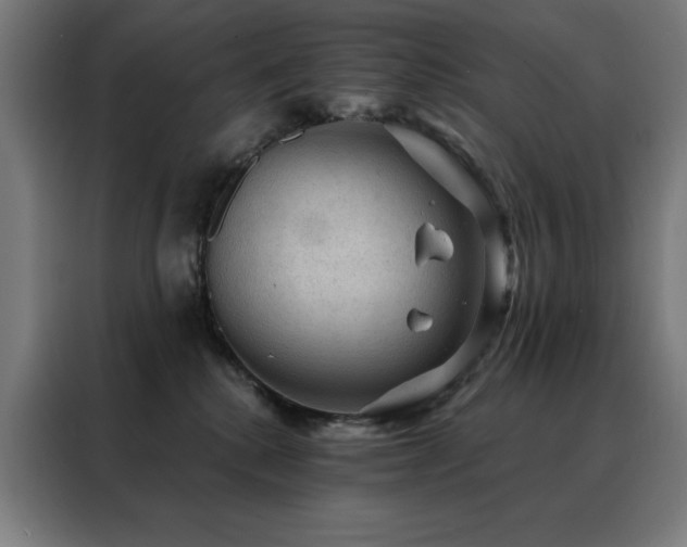 X0000088390280200705221120