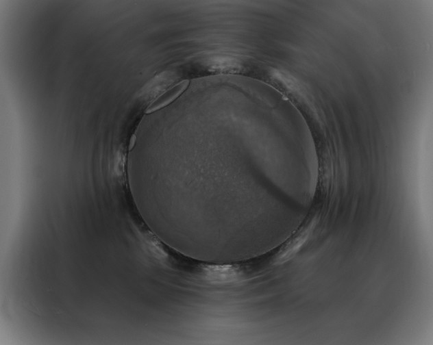 X0000088390281200705221120