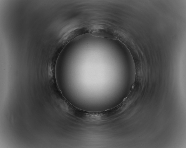 X0000088390282200705221120