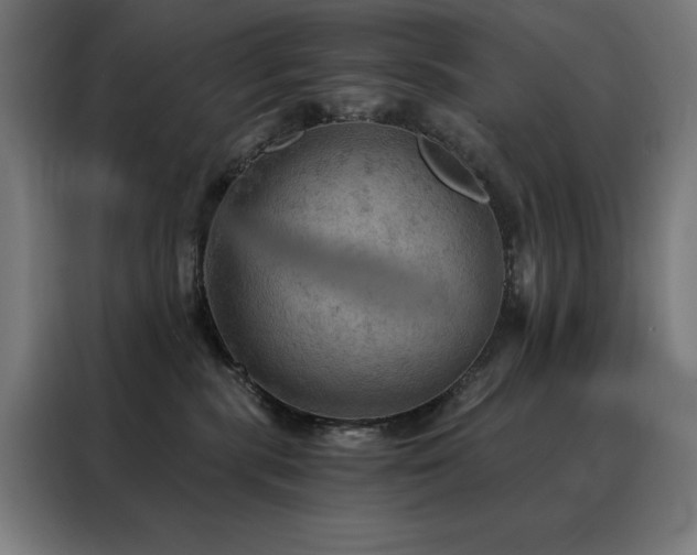 X0000088390283200705221120