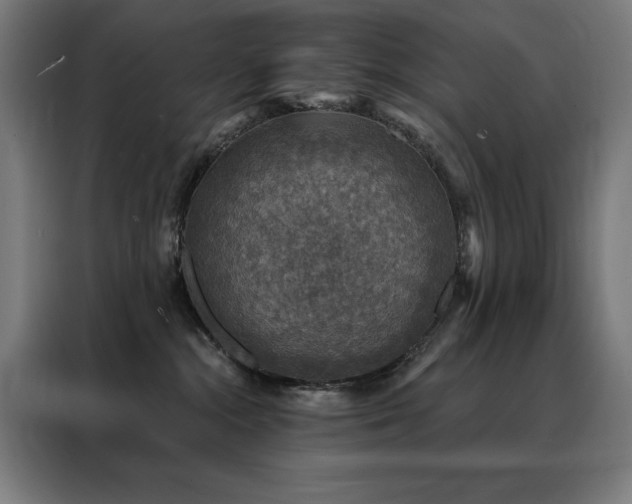 X0000088390284200705221120