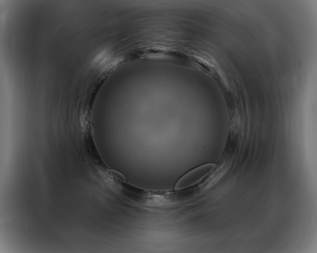 X0000088390285200705221120