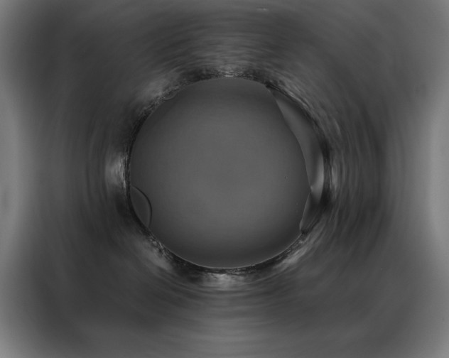 X0000088390286200705221120