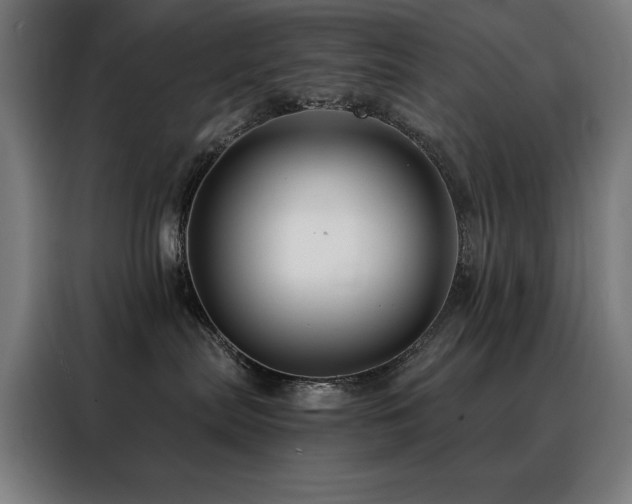 X0000088390287200705221121