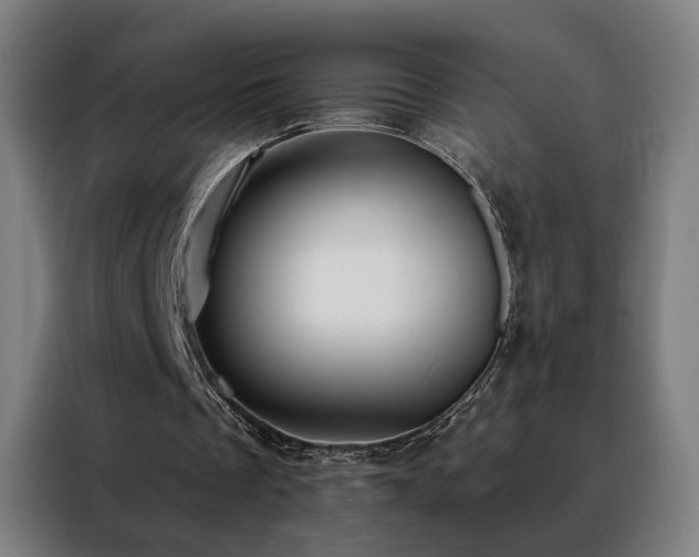 X0000088390289200705221120