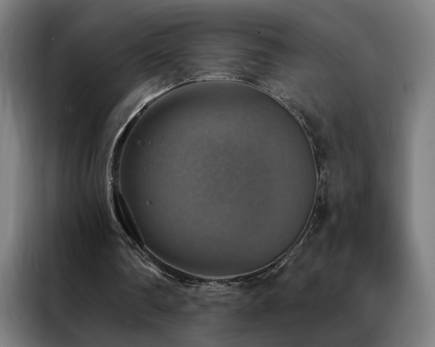 X0000088390290200705221120