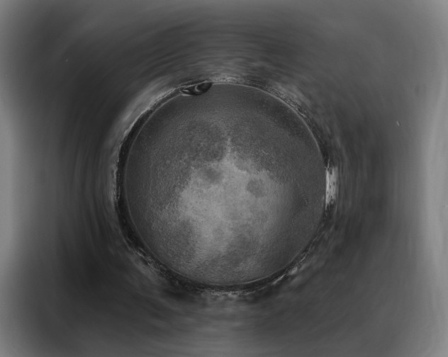 X0000088390291200705221120