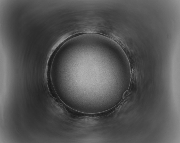 X0000088390292200705221120