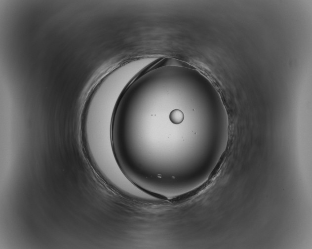 X0000088390293200705221120