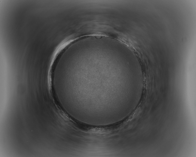 X0000088390294200705221120