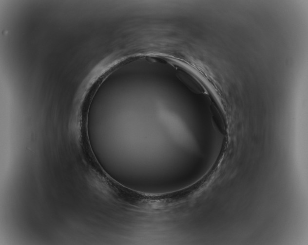 X0000088390295200705221120