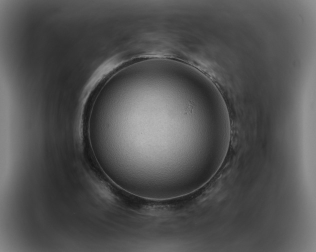 X0000088390296200705221120