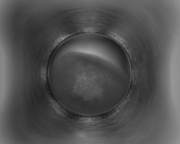 X0000088390297200705221120