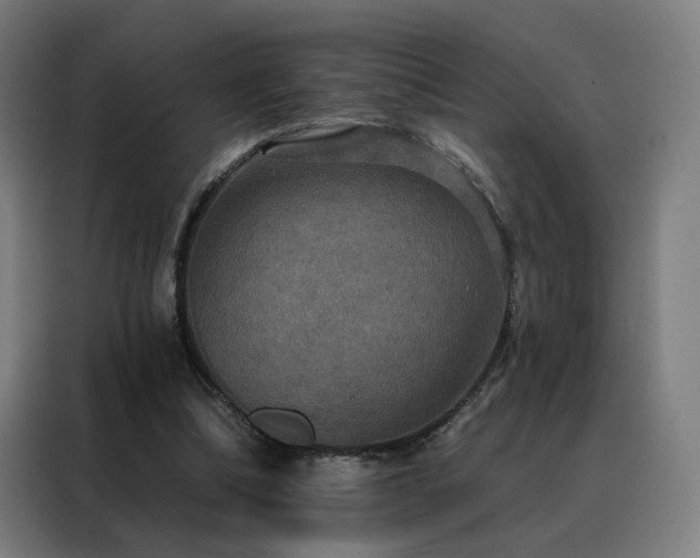 X0000088390298200705221120