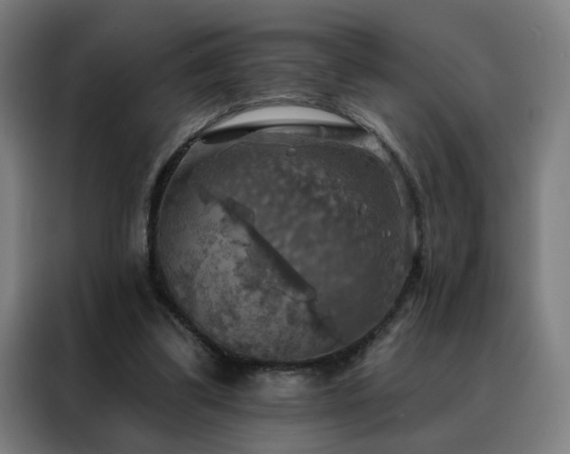 X0000088390299200705221120