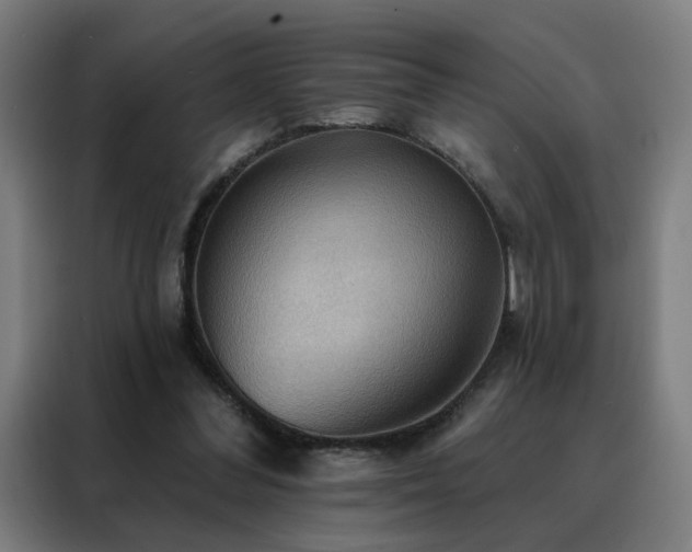 X0000088390300200705221120