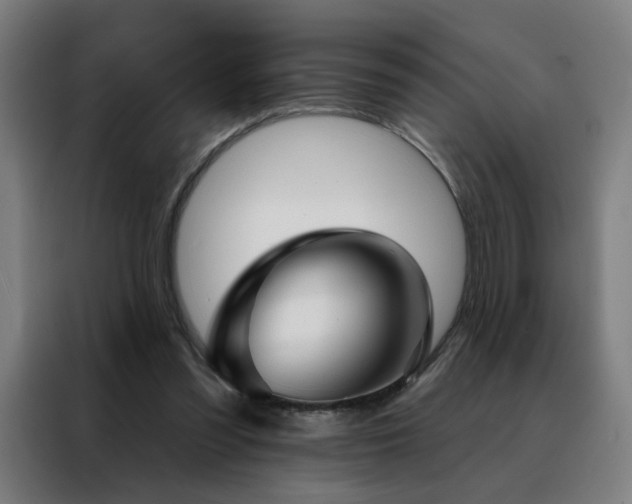 X0000088390301200705221120