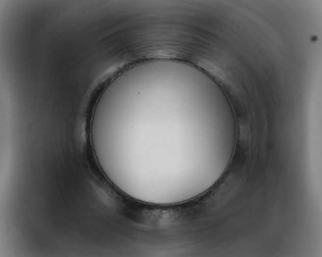 X0000088390302200705221120